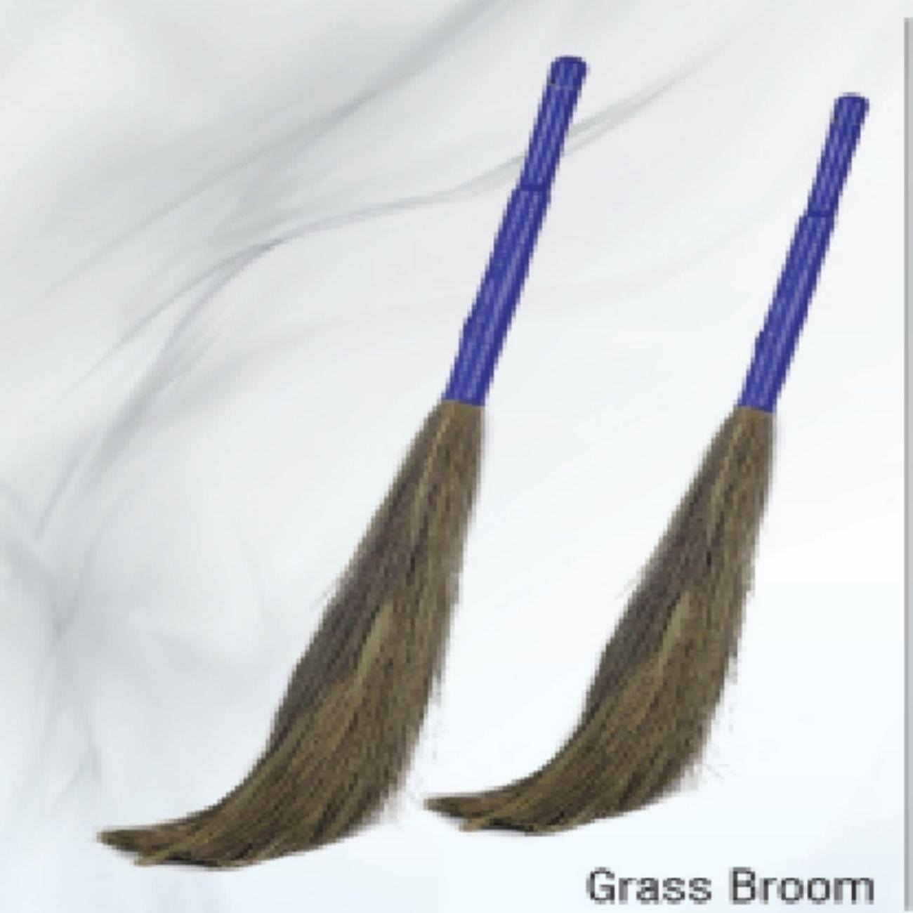 Home N Fresh Grass Broom