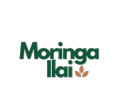 1780482571_122_moringa-120x120.webp